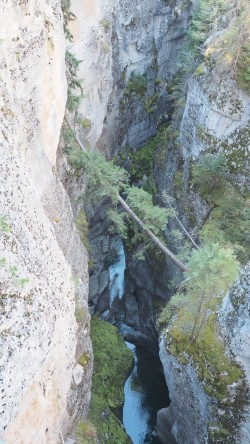 Maligne Canyon