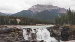 Athabasca Falls