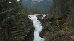 Athabasca Falls