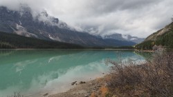 Waterfowl Lake